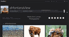 Desktop Screenshot of amontanaview.com