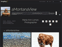 Tablet Screenshot of amontanaview.com